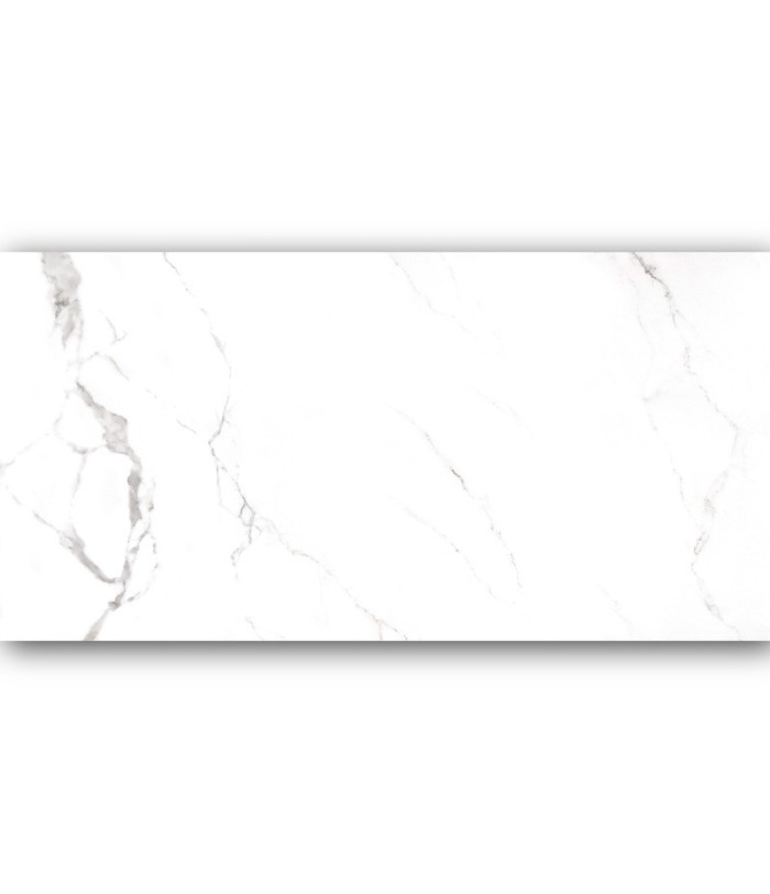 Porcelanato Calacata Brillante 60x120