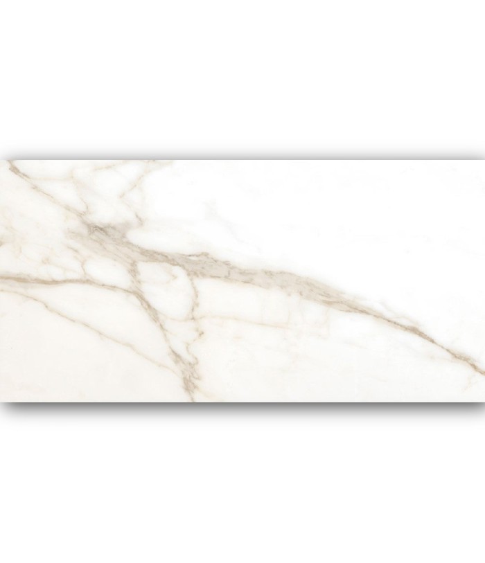 Porcelanato Tholos Gold Polished 60X120